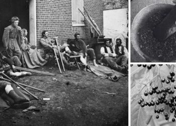 10 Natural Remedies From the Civil War Era