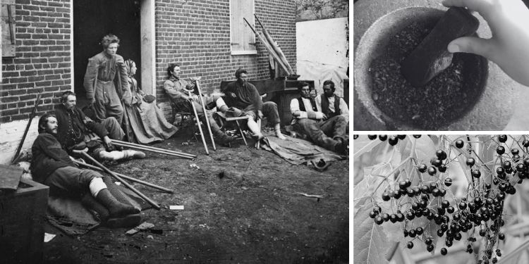 10 Natural Remedies From the Civil War Era