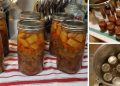 5 Pressure Canned Meals in a Jar