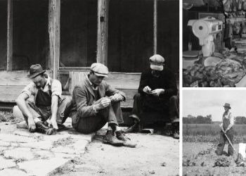 Great Depression vs Silent Depression