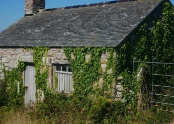 How to Make Your House Invisible After SHTF