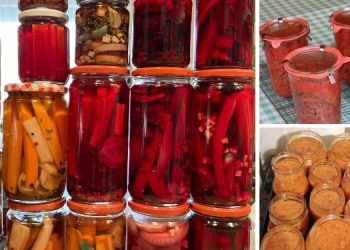 Long Lasting Recipes for the Fall