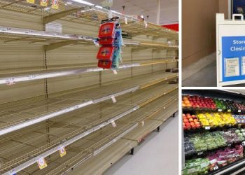 What Happens When the Government Takes Control of Your Food