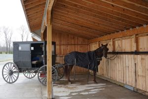 Prepping Items You Should Get From the Amish Store