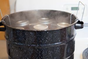 Water Bath vs. Pressure Canning