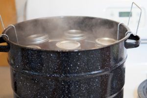 https://www.askaprepper.com/wp-content/uploads/2023/12/Water-Bath-vs.-Pressure-Canning.jpg