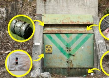 17 Items I Keep in My Fallout Shelter at All Times