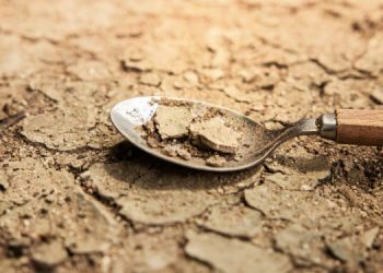 Are You Ready for the Upcoming Food Crisis