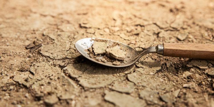 Are You Ready for the Upcoming Food Crisis