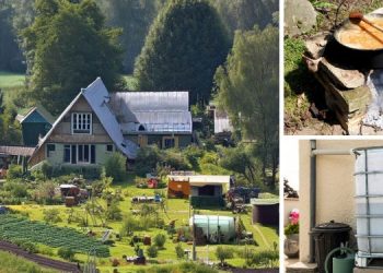 These 6 Types of People Wouldn’t Last a Day Off Grid