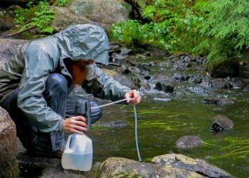 The Dark Side of Being a Lone Wolf