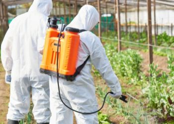 They’re Poisoning Us Everyday