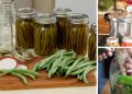 Water Bath vs. Pressure Canning
