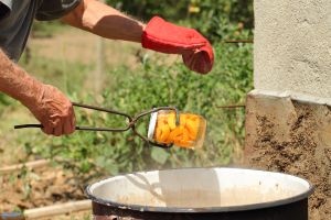 Water Bath vs. Pressure Canning