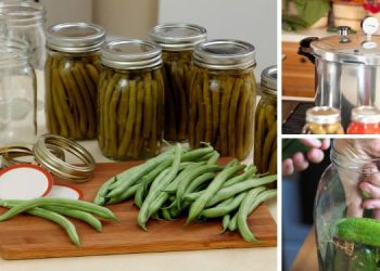 Water Bath vs. Pressure Canning