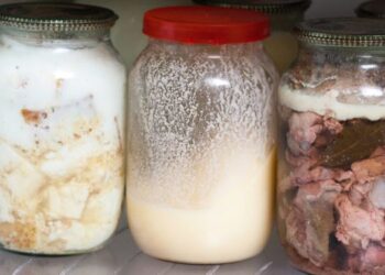 10 Foods You Should Store in Lard for a Long Shelf Life