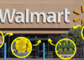 $100 Walmart Prepper Food Run in 2024