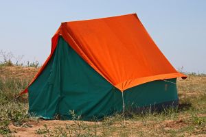 11 Must-Have Items for Your Wilderness Survival Shelter