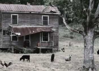 What Livestock My Grandparents Raised During the Great Depression