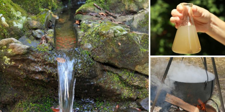 Ingenious Ways to Purify Water in the Wild