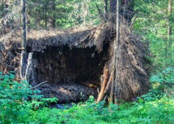 Shelter Mistakes that Can Get You Killed