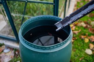 This Is What Your Neighbor Might Already Know About You