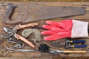 Off-Grid Tools You Need to Look for at Flea Markets
