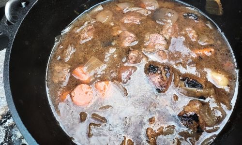 Post-Apocalyptic Stew - French carbonade