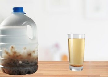 Read This Before Storing Water in Milk Jugs
