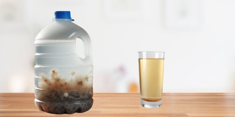 Read This Before Storing Water in Milk Jugs