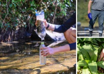 Survival Skills You Can Trade After SHTF