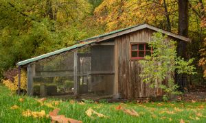 #1 Enemy of Going Off-Grid