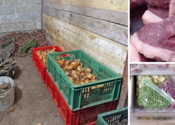 The Biggest Enemies of Long-Term Food Storage (It’s Not Looters)