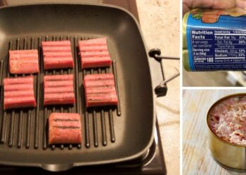 I Ate Only Canned Meat for 6 Months and This Happened