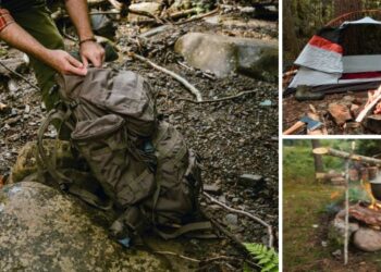 If You Need to Survive in the Wild, You Need These