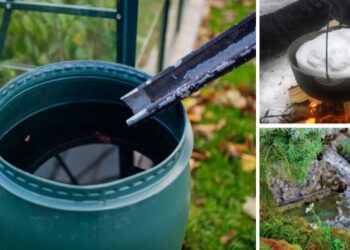 Never Trust This Water Source Again