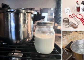 Condensed Milk Canning Mistakes You Need to Avoid