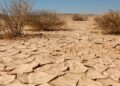 How to Survive When All Water Is Gone