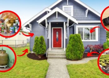 Prepare for Confiscation Items the Government Will Be After