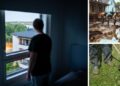 This Is Why You Should Watch Your Neighbors Carefully