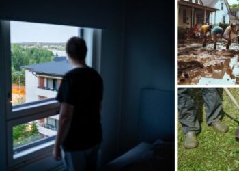 This Is Why You Should Watch Your Neighbors Carefully