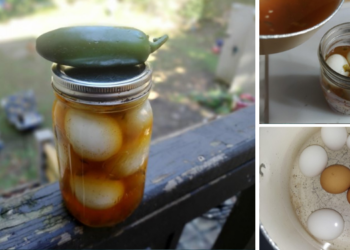 Cowboy Candy Pickled Eggs