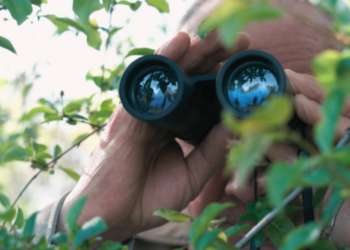 What Is Your Neighbor Hiding