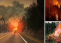 What They're Not Telling You About Wildfires