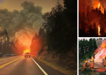 What They're Not Telling You About Wildfires