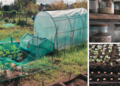 Read This Before Stockpiling Seeds