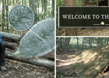I Joined The Wilderness Long Term Survival Academy - and this is what happened