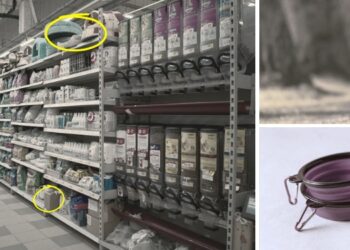 10 Survival Items You Should Get From The Pet Store