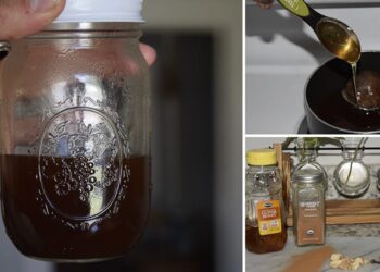 This is How My Grandma Made Antibiotics