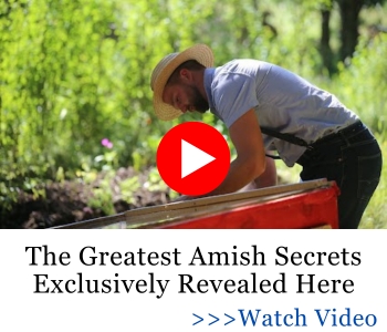 The Greatest Amish Secrets Exclusively Revealed Here
